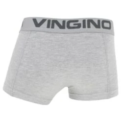Vingino Jongens 2-pack Boxers Grijs -BJØRN BORG Verkoopwinkel aHR0cHM6Ly93d3cuYm94ZXJzLm5sL21lZGlhL2NhdGFsb2cvcHJvZHVjdC92L2kvdmluZ2lub19ub29za2JuNzIzMDEtOTEwX2FjaHRlcmthbnQuanBnP3N0b3JlPWJveGVyc19ubCZpbWFnZS10eXBlPWltYWdl