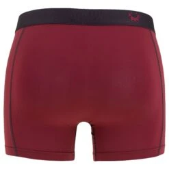 Cavello 2-pack Boxers Microfiber Flowers Rood -BJØRN BORG Verkoopwinkel aHR0cHM6Ly93d3cuYm94ZXJzLm5sL21lZGlhL2NhdGFsb2cvcHJvZHVjdC9jL2EvY2F2ZWxsb19jYjYxMDA0XzJfYWNodGVya2FudC5qcGc c3RvcmU9Ym94ZXJzX25sJmltYWdlLXR5cGU9aW1hZ2U