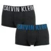Calvin Klein Intense Power 2-pack Microfiber Lowrise Boxer Trunks Zwart