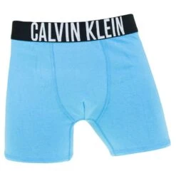 Calvin Klein Jongens Intense Power 2-pack Boxers Basic Blauw & Zwart -BJØRN BORG Verkoopwinkel aHR0cHM6Ly93d3cuYm94ZXJzLm5sL21lZGlhL2NhdGFsb2cvcHJvZHVjdC9jL2EvY2FsdmluLWtsZWluX2I3MGI3MDA0MjMtMHN2XzJfdm9vcmthbnQuanBnP3N0b3JlPWJveGVyc19ubCZpbWFnZS10eXBlPWltYWdl