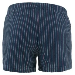 CECEBA 2-pack Wijde Boxershorts Gestreept Blauw -BJØRN BORG Verkoopwinkel aHR0cHM6Ly93d3cuYm94ZXJzLm5sL21lZGlhL2NhdGFsb2cvcHJvZHVjdC9jL2UvY2VjZWJhXzIyNjAtNTYwOS0yNTUwXzFfYWNodGVya2FudC5qcGc c3RvcmU9Ym94ZXJzX25sJmltYWdlLXR5cGU9aW1hZ2U