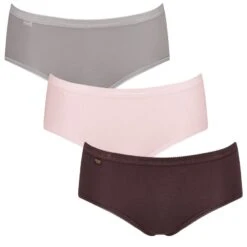 Sloggi Dames Basic 3-pack Midi Slips Multi V